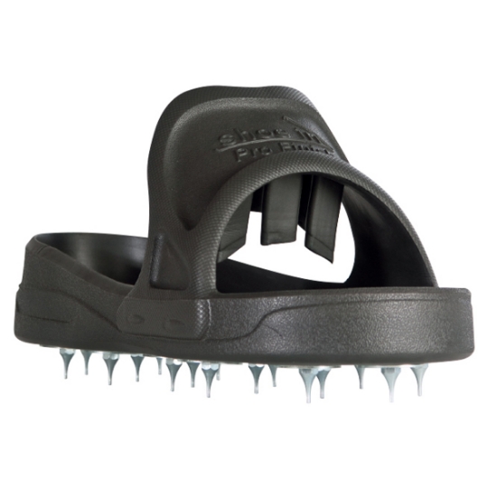 Picture of SHOE-IN SPIKED SHOES MEDIUM